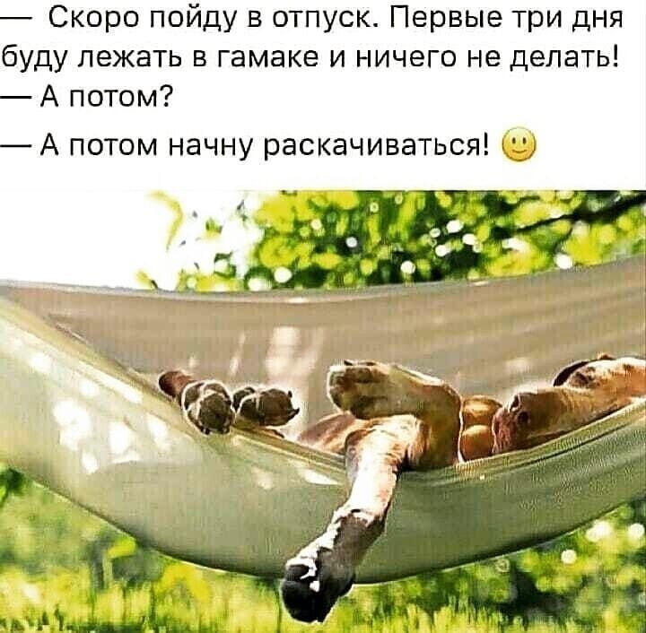 Скоро пойду в отпуск Первые три дня буду лежать в гамаке и ничего не делать А потом А потом начну раскачиваться кг