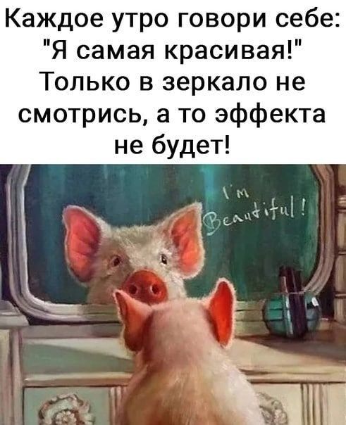 Каждое утро говори себе Я самая красивая Только в зеркало не смотрись а то эффекта не будет