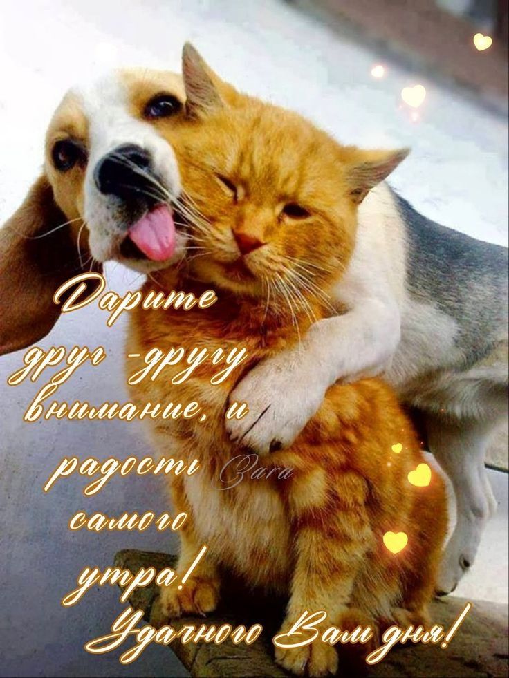 д0т имама _ Мии ама Зимуш