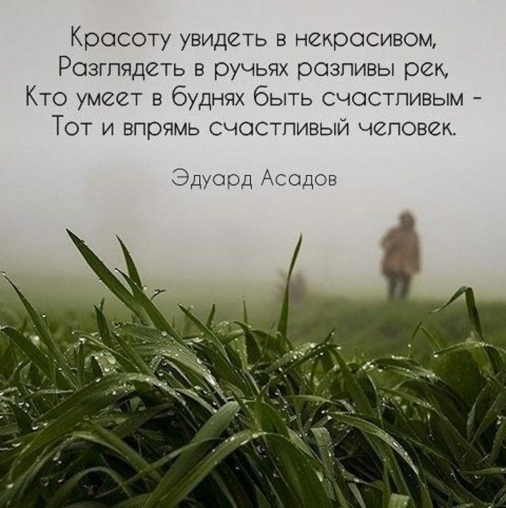 Красоту увидеть в некрасивом Разгпядеть в ручьях разливы рек Кто умеет в буднях быть счастпивым Тот и впрямь счастливый чеповск Эдуард Асадов