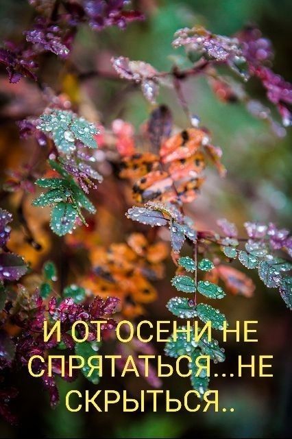 Скрыть