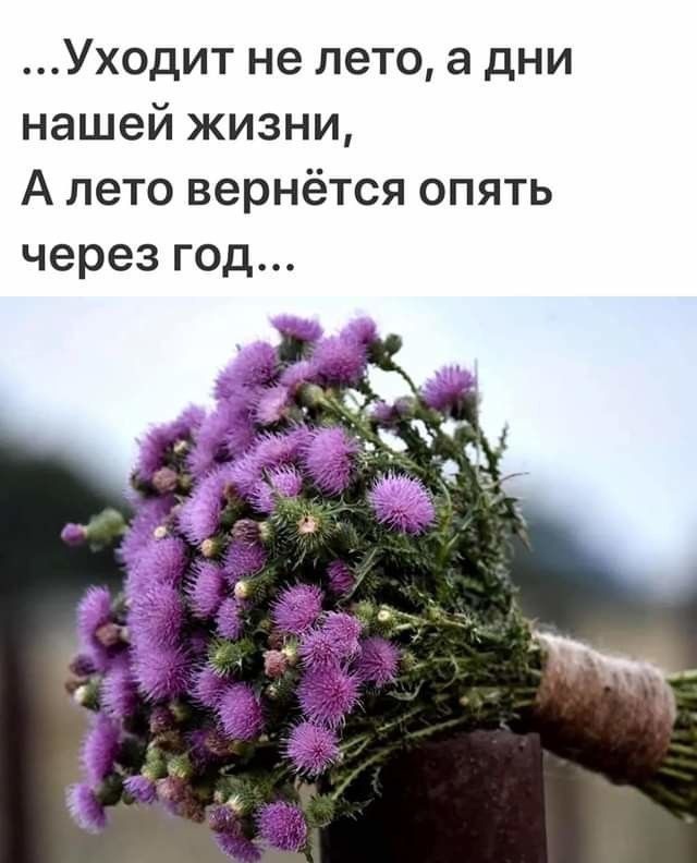 Уходит не лето а дни нашей жизни А лето вернётся опять через год