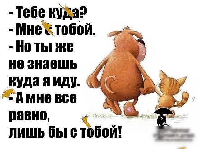 Тебе піда Мне тобой Но ты же не знаешь д Шда иду 1141 мне все панно пишь бью тобой