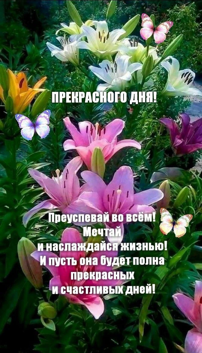 И наспа іЖИИЗИЫШ и Шить она будит полна _ пивнпасныи и вчастпивьііднвй _ Т і щ