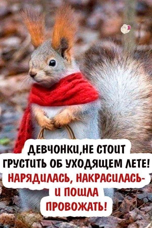 грустить ов уходящем АЕТЕ ндрядцмсь ндкрАспААсь