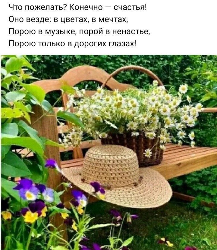 Что пожелать Конечно счастья Оно везде в цветах в мечтах Порою в музыке порой в ненастье Порою только в дорогих глазах