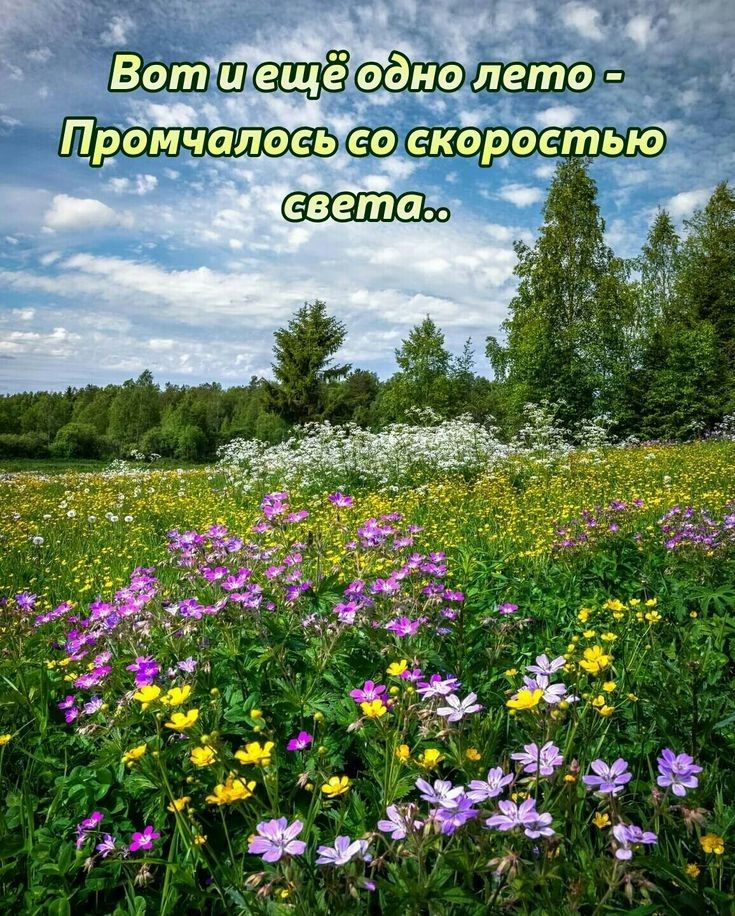 Вотшещегоднолето промчалосысоскоростью света::