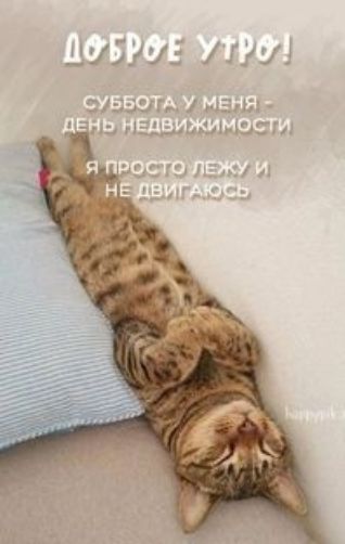 Цу:у: уаго