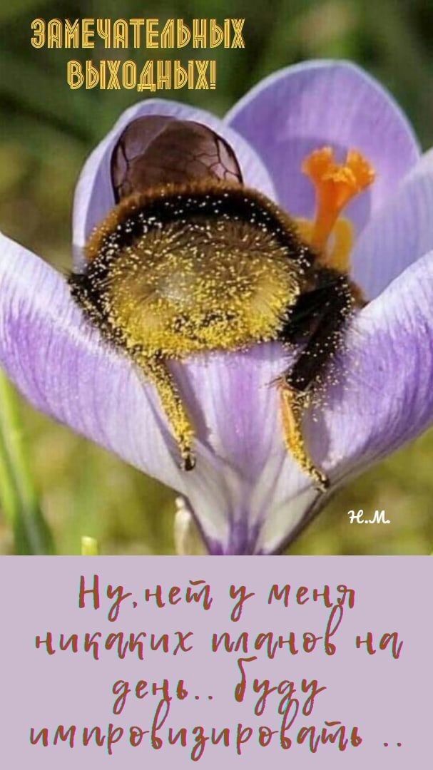 ЭЁИЕЧПЁИЬМЫХ ВЬЖПДМЫХШ НЙМЧСТЬ иии Иі ЦЕ БТИ МГЦ М 3 да МРП8 иги Р ЦДИ 1
