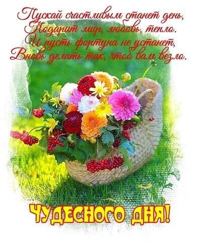 Аш дтпЪЩЁЬ СНГ50142 тт амп тим