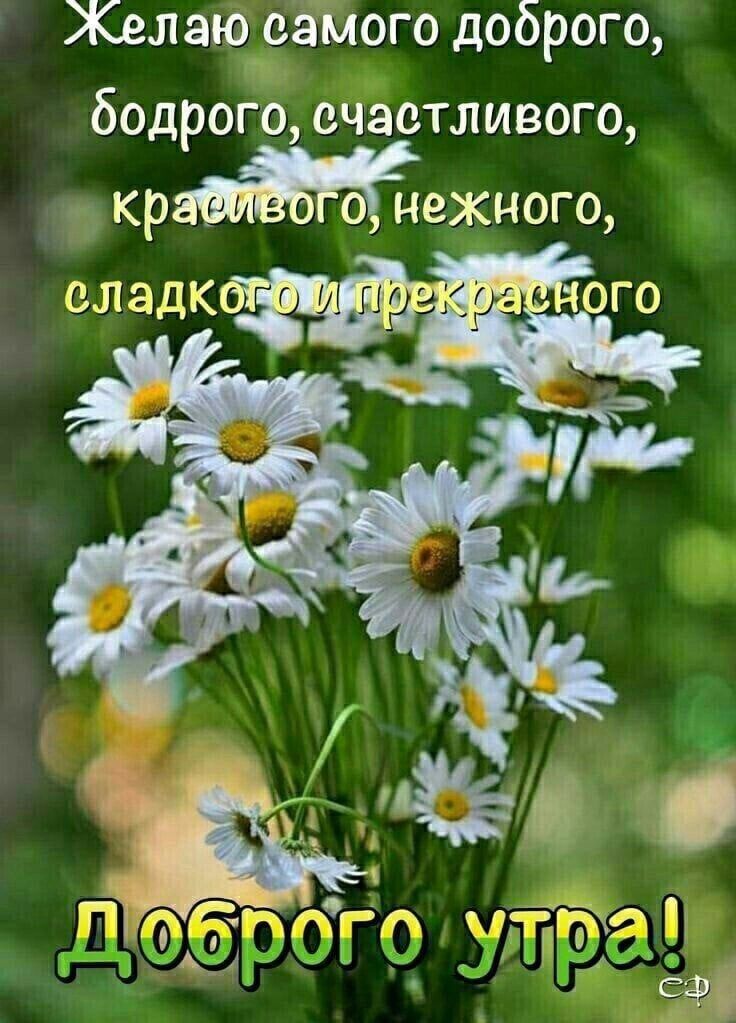 Желаю самого доброго бодрого счастливого кр _ о нежного оладк ого