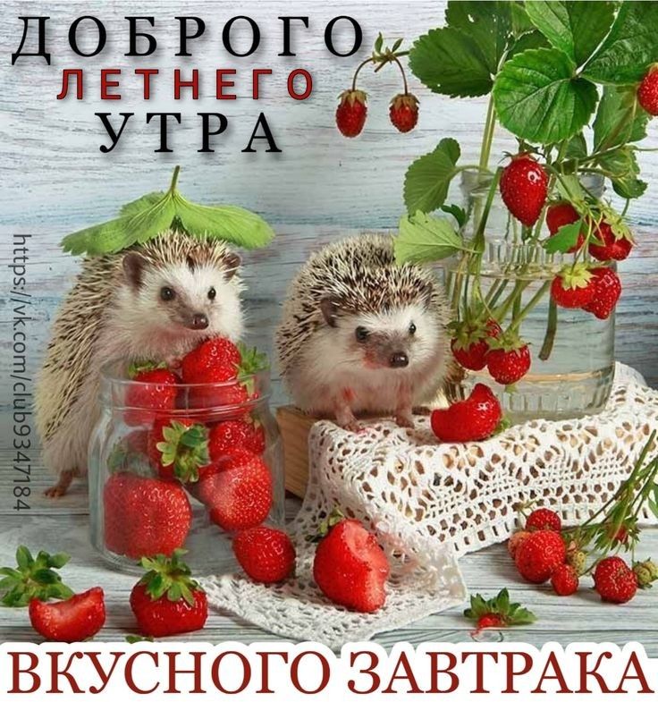 вкусного ЗАВТРАКАЗ