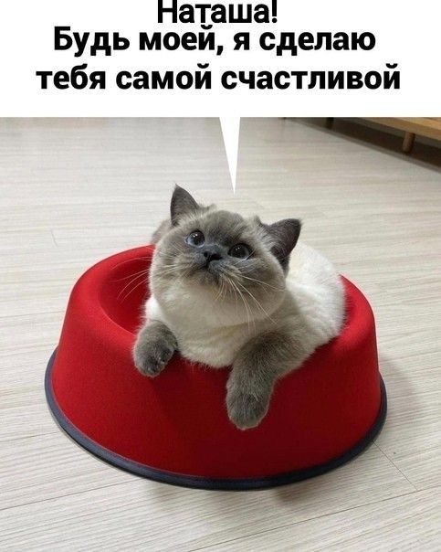 Наташа Будь моей я сделаю тебя самой счастливой
