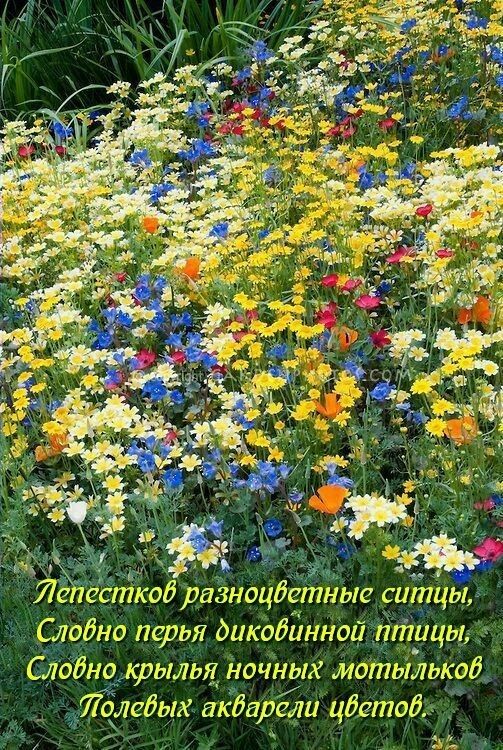 Ле есткобразноцд тие ситиьи А ЦШЦЧЬБ бёнЁёц фылья ночных иотиількоё Полебых акбарели цйетоб