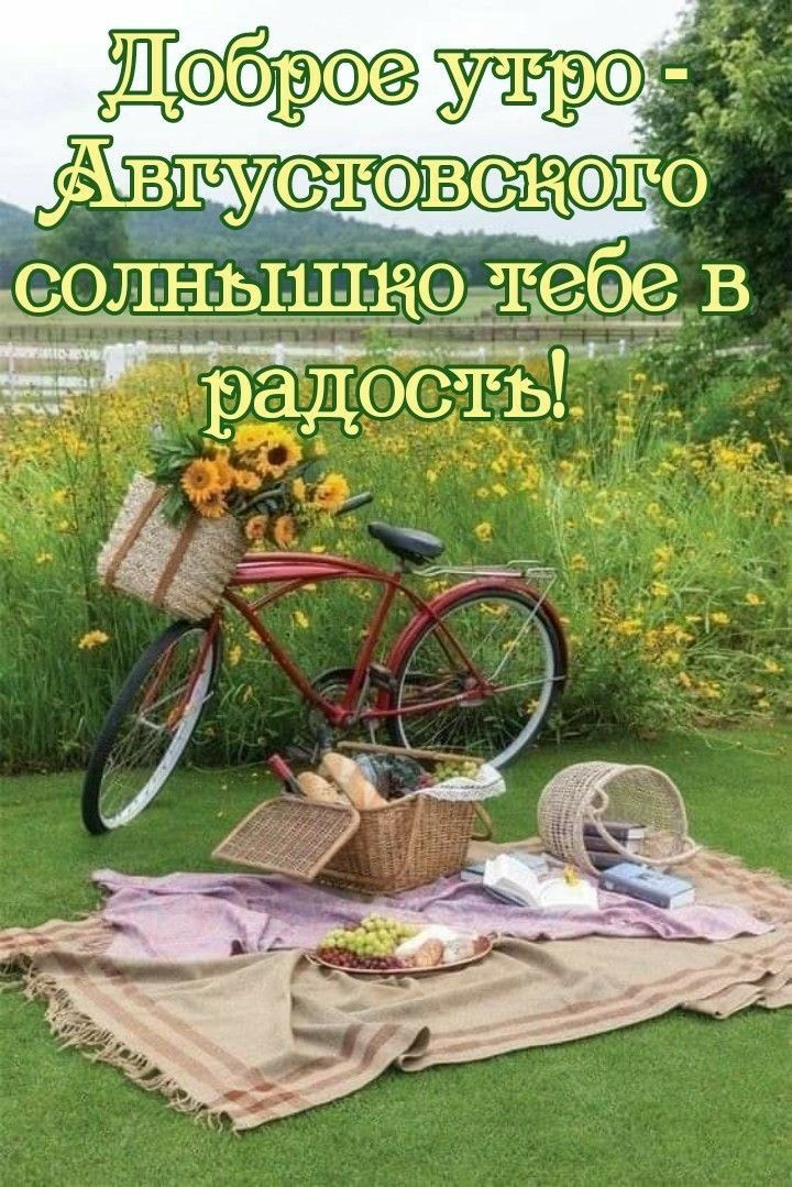 сонным 1139 тебе В р ад сеть _
