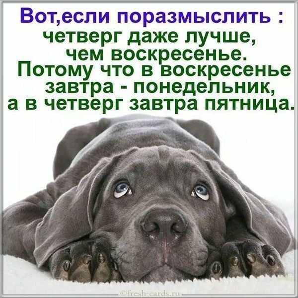 Вотеспи ПОРЗЗМЬіСЛИТЬ четверг даже лучше чем воскресенье Потому что в воскресенье завтра понедельник а в четверг завтра пятница