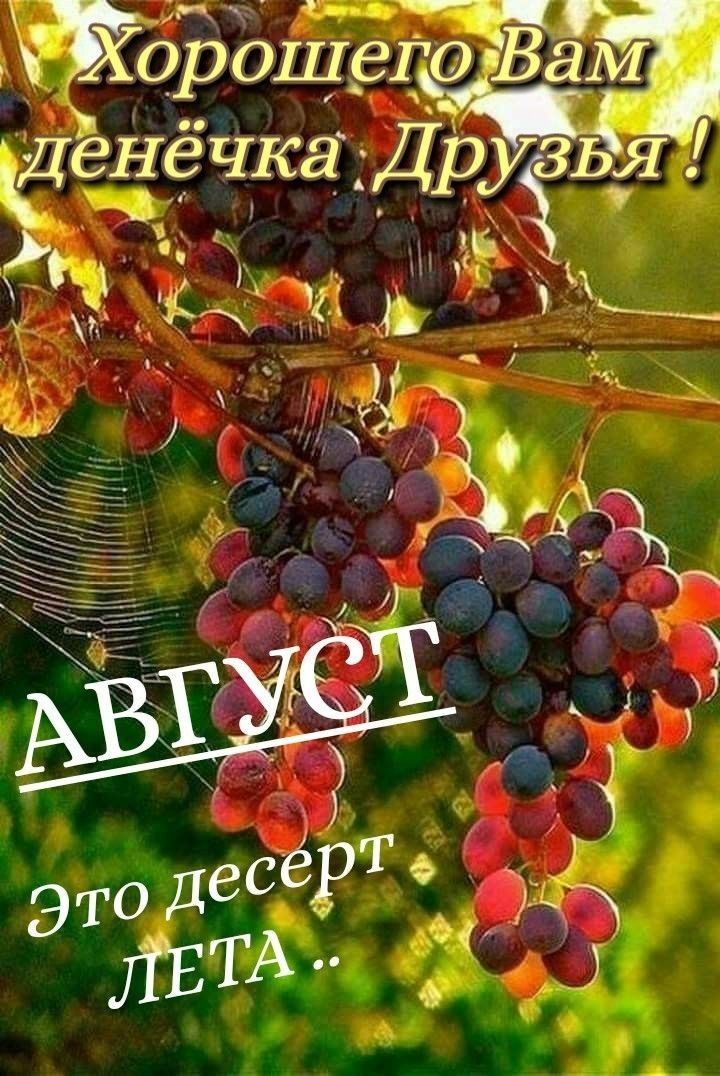 Т лаыч  орошего
