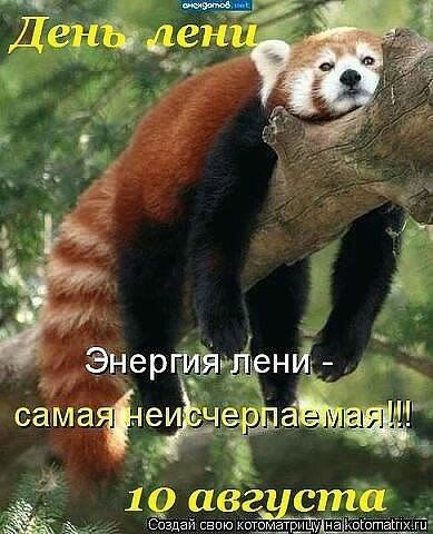 Создайдвпю кпшддшшшу иё