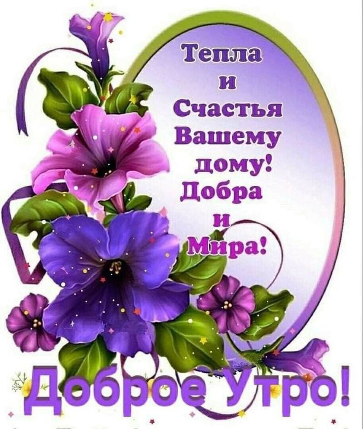 Текила и Счастып ЕБашеМу