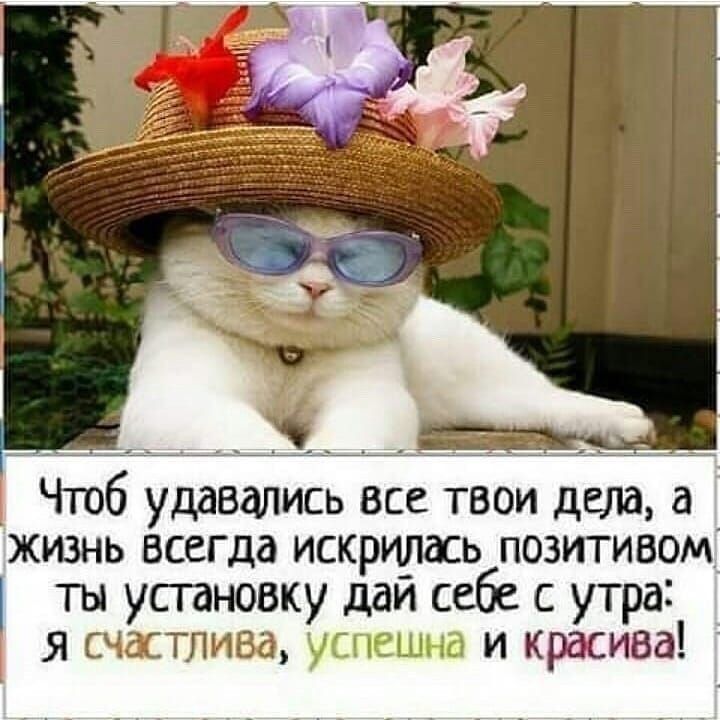 Чтоб удавались все твои дела а жизнь всегда искрирась позитивом ты усгановку даи себе с утра я счастлива успешна и красива