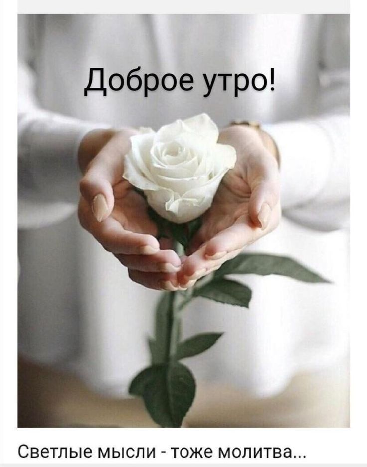 Доброе утро Светлые МЫСЛИ тоже МОЛИТВВ