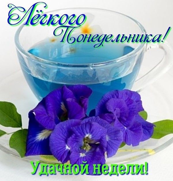 7 ёй шиббд оельнига