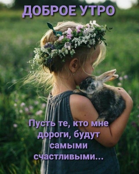 довров утро _ С СТПИВЫМИ Ы