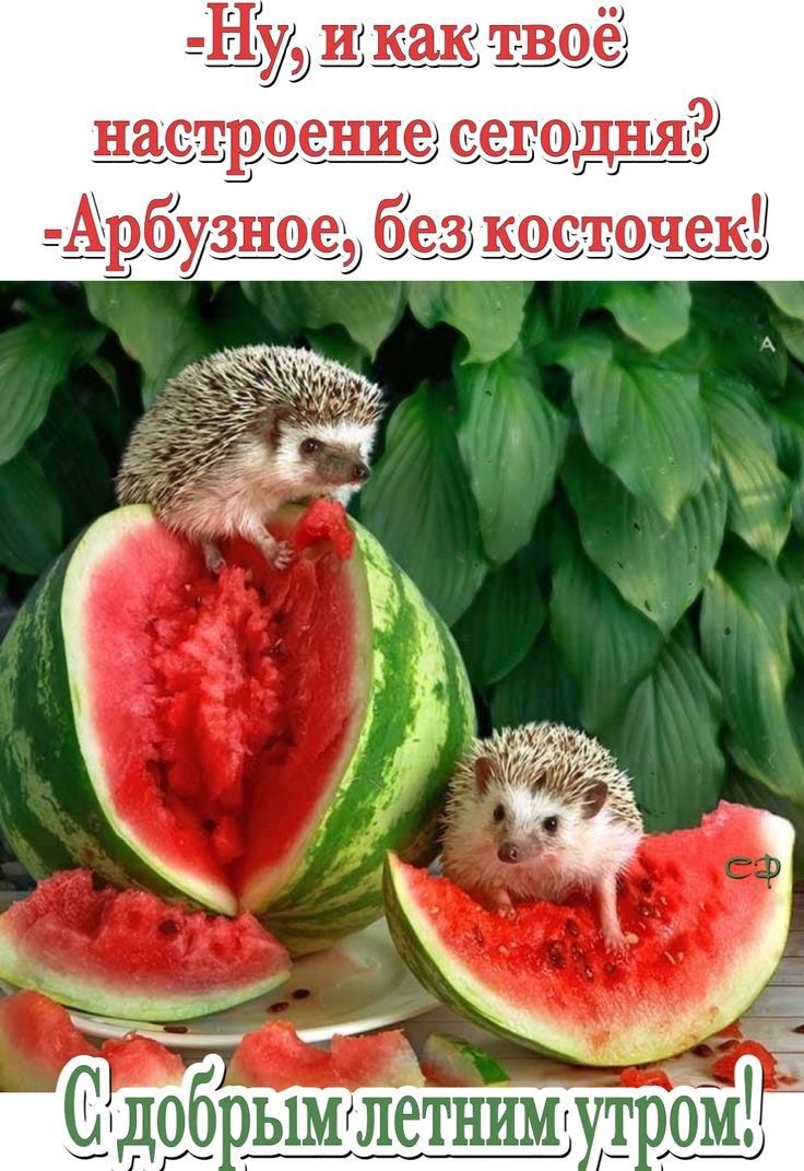 Нуи _ как твее евреение есеводднд Ан бузнееэ бе к еевечевді
