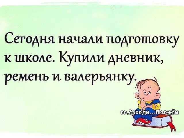 Сегодня начали подготовку к школе Купили дневник ремень и валерьянку