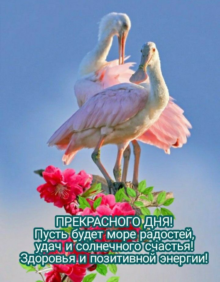 д ПуЕтвхфудет морёдрёдостей удач _и сохднечі югорнастья Здороввям позитивной