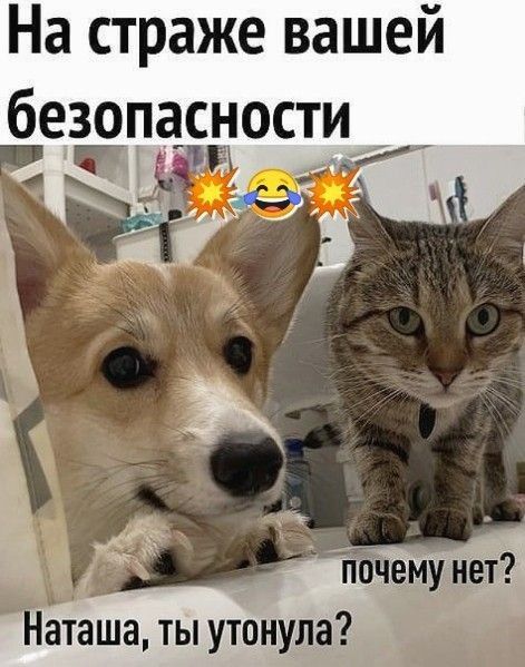 На страже вашей безопасности _ почемунет аташа ты утонула