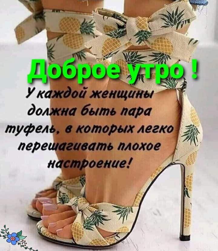 УкаМажеишіш даша быть дара туфель котом легко лерещаат плохое идр А