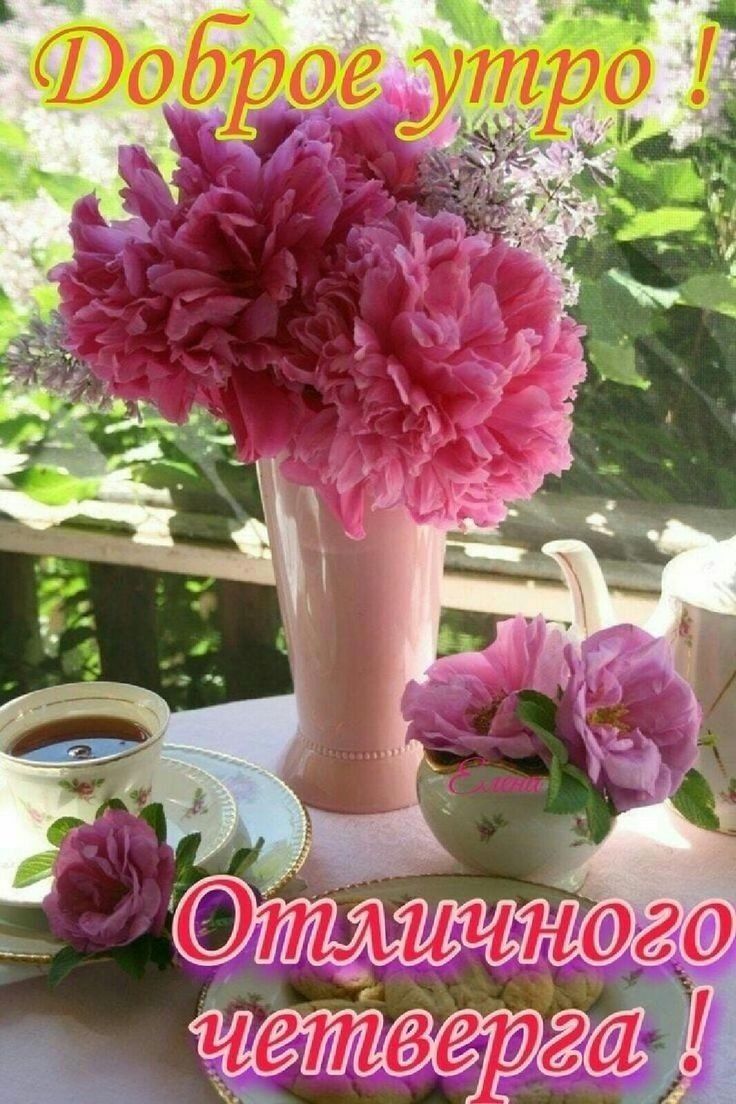 Оичного _ че ыеегад