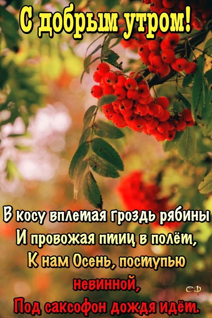 ЗВ идеткеша гроздь рябиньг И провожая птиц в поАёт К нам а Маэштмтдмъ СФ _