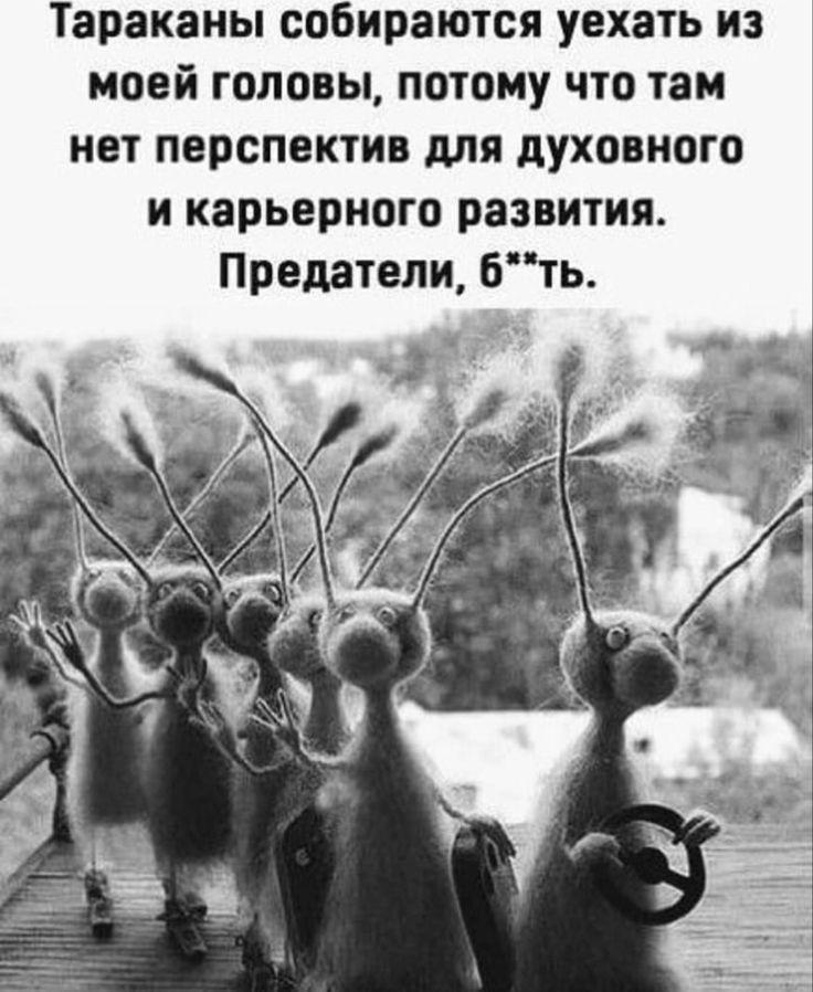 Тараканы собираются уехать из моей головы потому что там нет перспектив для духовного и карьерного развития Предатели бть