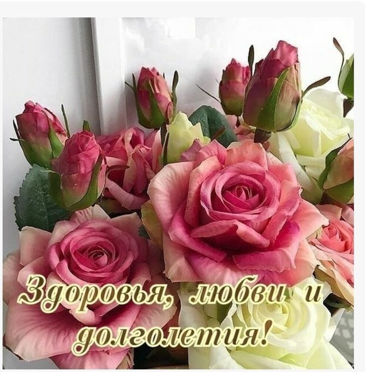 1014 істия Ш