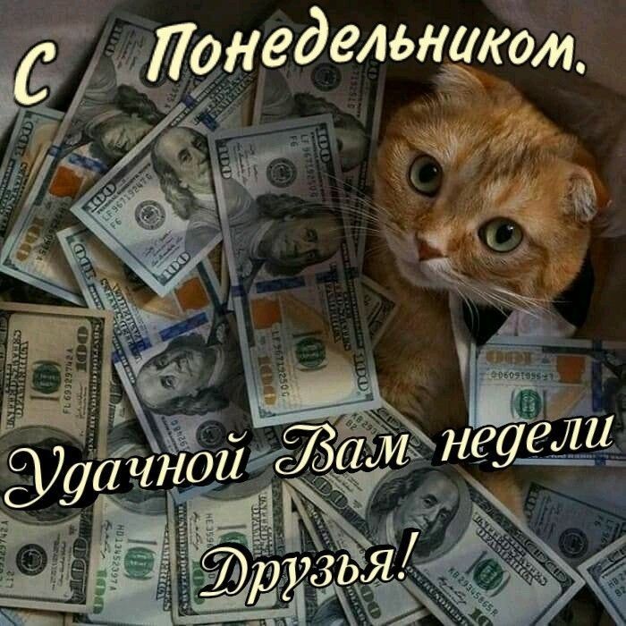 Онеде ль нком. Й