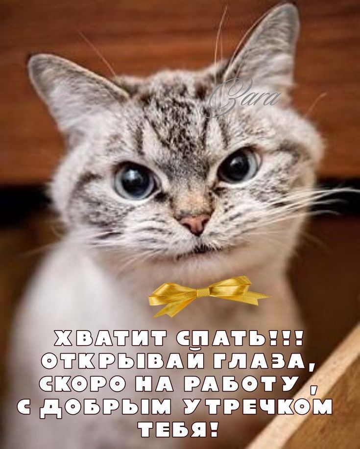 Ы отктрбваи глазл, скоро на работу  дбьшш утречко