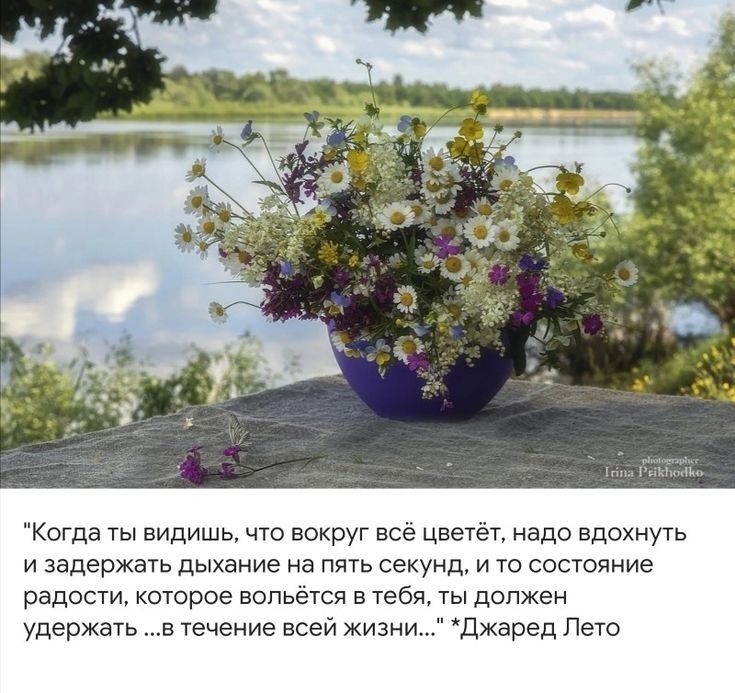 Когда ты видишь что вокруг всё цветёт надо вдохнуть и задержать дыхание на пять секунд и то состояние радости которое вопьётся в тебя ты должен удержать в течение всей жизни Джаред Лето