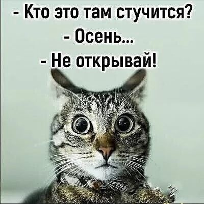 Кто это там стучится Осень Не открывай