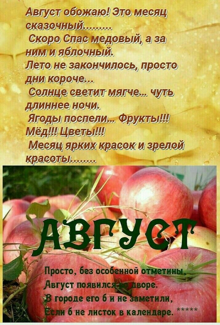 Аиша щожащ Эш дадим шадный мрдоШЩ а за ним и Машинный н д зажимать пррдю дт кордчдь ЛНШЁ щит мама чтз админи Ялты трллдпм фри Мёд Мытищ Мделщ щит там и армий тамады _птто без особенной Август появи ре пилотные ли 6 не листок пищ у