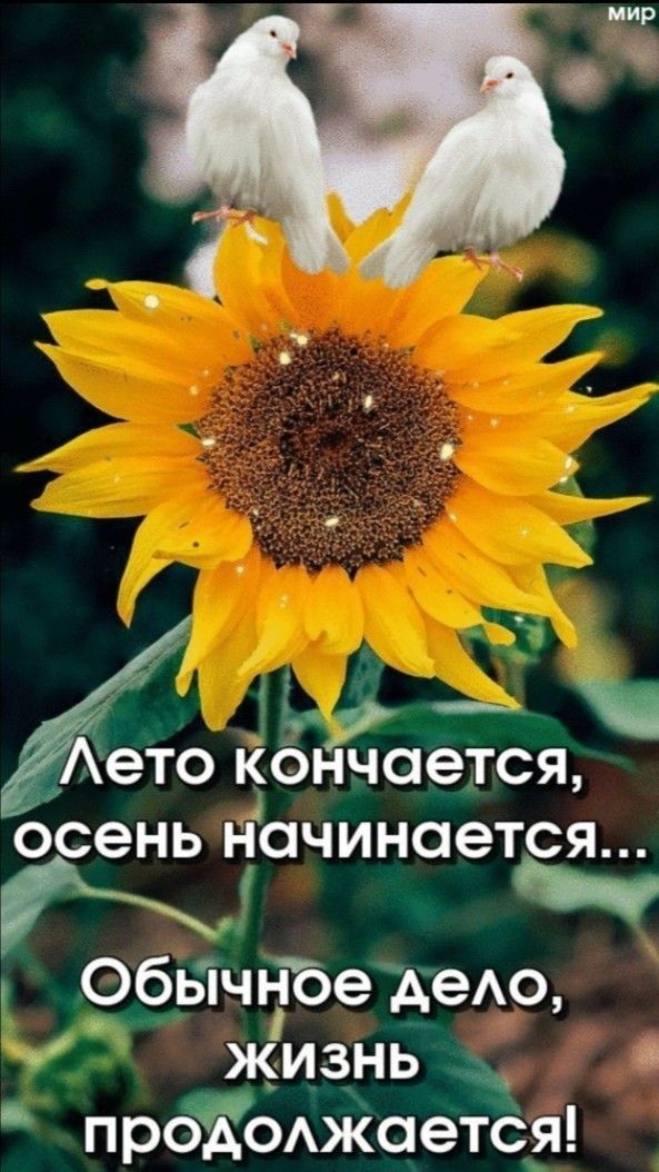 _Аето квнчается осень начинается Обьічп ібе деАо жизнь Ча прОЙОАжается