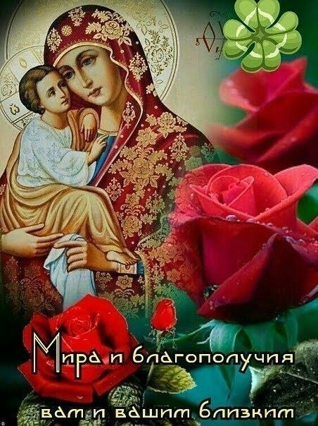 л и аоро й мпрап бтгопопучпят за дар оя 