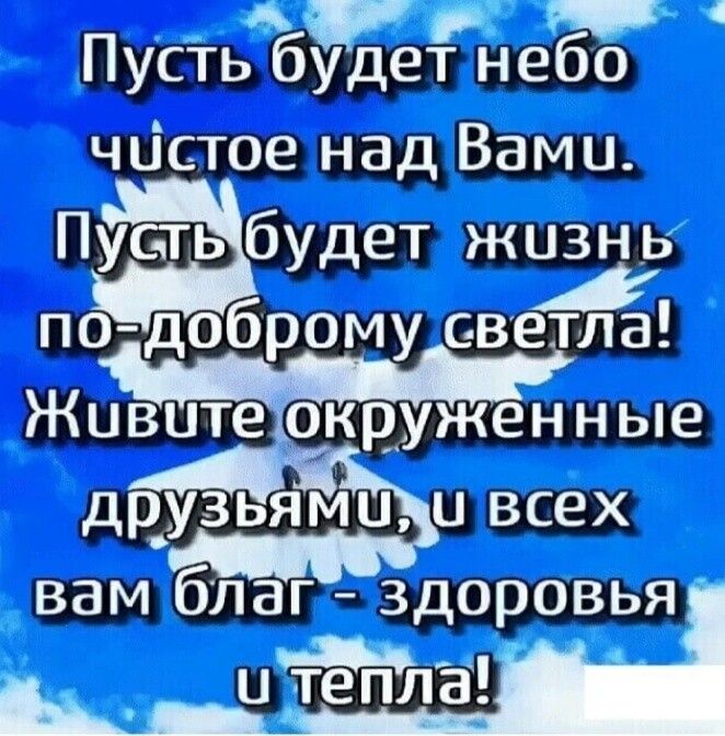 друзьями шх