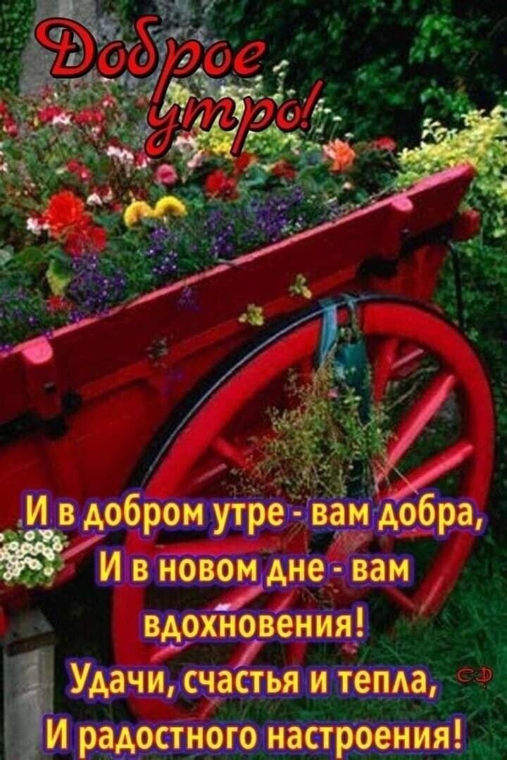 И в добром утре Ём добра И в новом дне вам вдохновения _ и Удачи счастья и тема у Ё И радостного настроения_ _ _