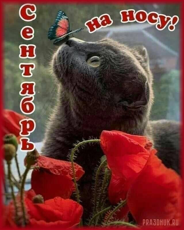 РПДЗПННКЛН
