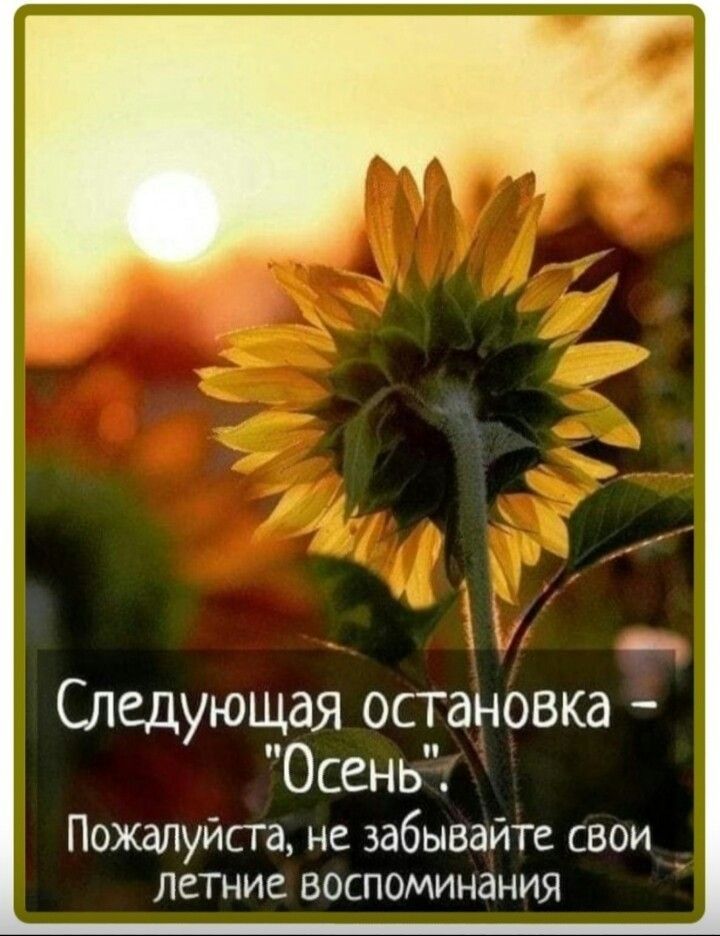 л м нд Следующая остановка Осень Пожалуйста не забывайте свои _ летние воспоминания