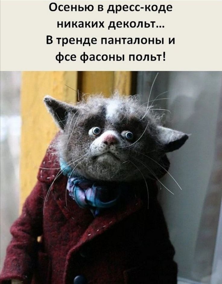 Осенью в дресс коде никаких декольт В тренде панталоны и фсе фасоны польт