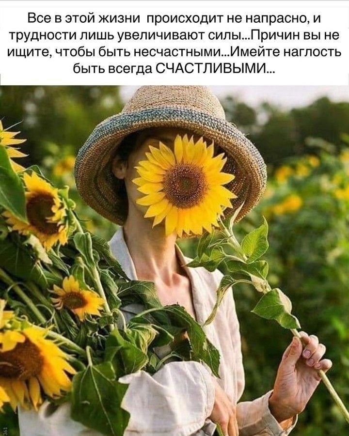 Все в этой жизни происходит не напрасно и трудности лишь увеличивают силыПричин вы не ищите чтобы быть несчастными_Имейте наглость быть всегда СЧАСТЛИВЫМИ