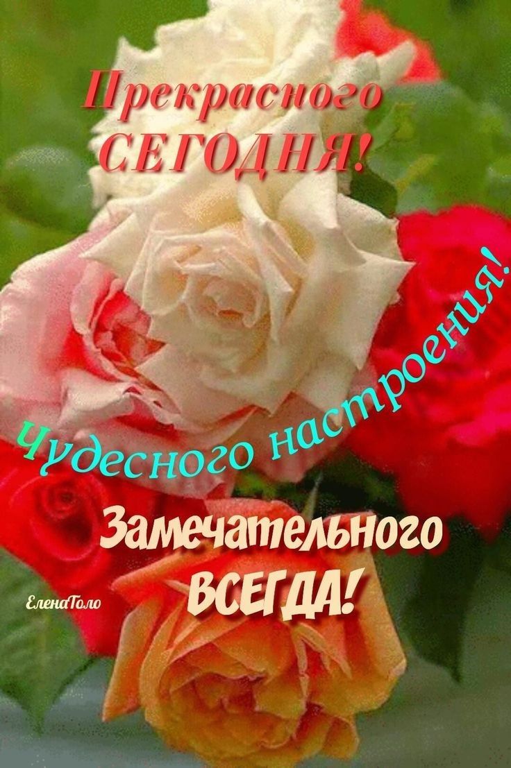 ателъного